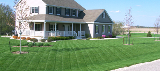 lawn9