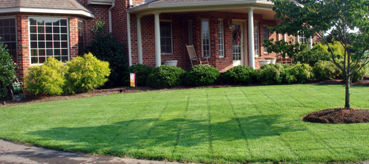 lawn10